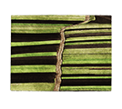 RUGSANDRUGS preview 4