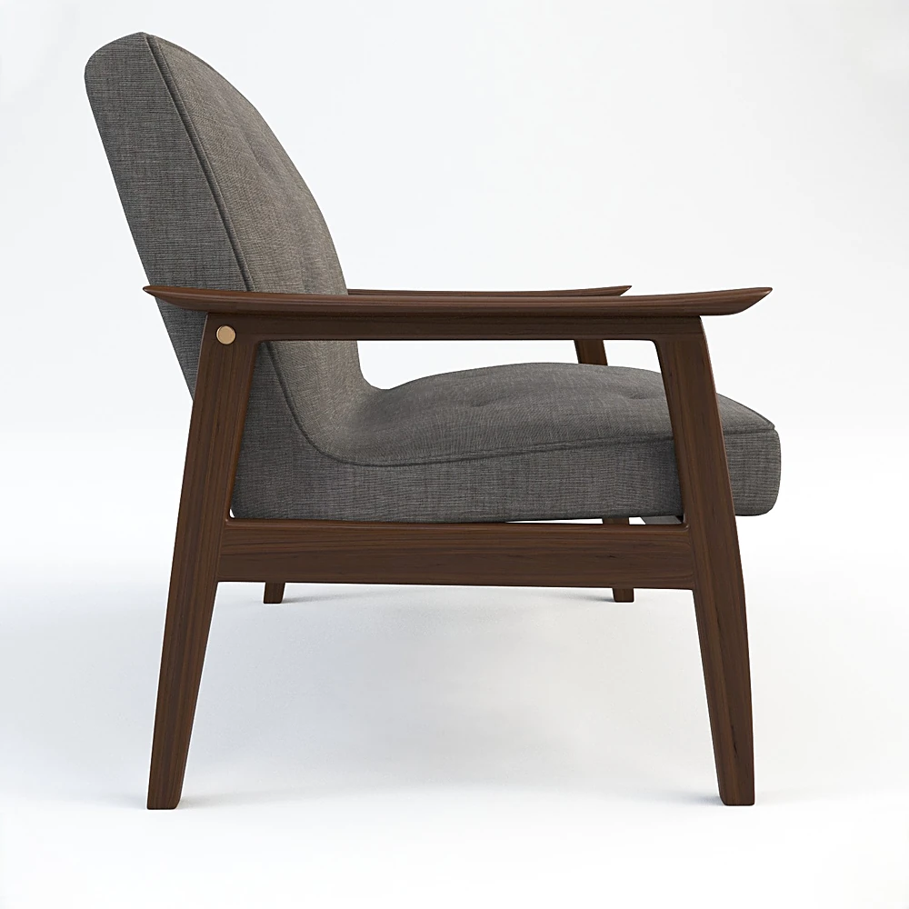 Armchair with Modern Wooden Frame (2)
