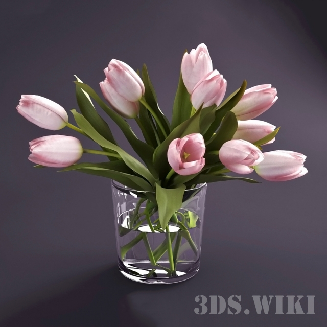 Тюльпаны - скачать 3d модел | 3ds.wiki