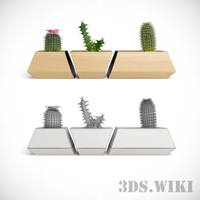 Кактусы в горшках - скачать 3d модел | 3ds.wiki