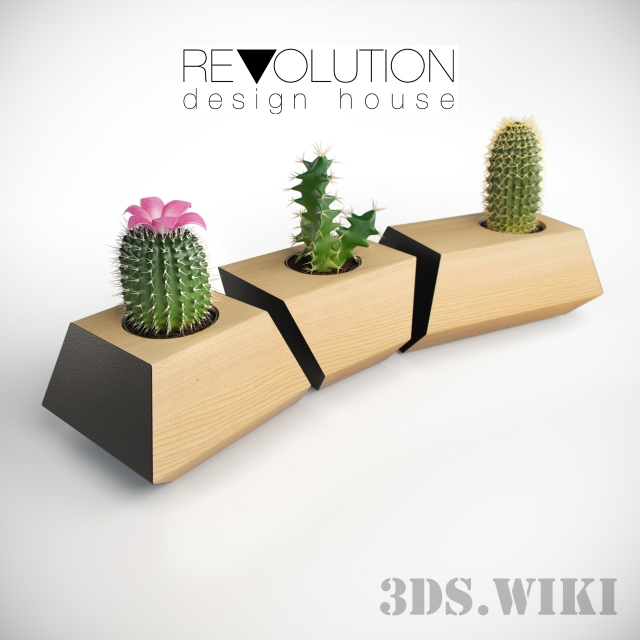 Кактусы в горшках - скачать 3d модел | 3ds.wiki