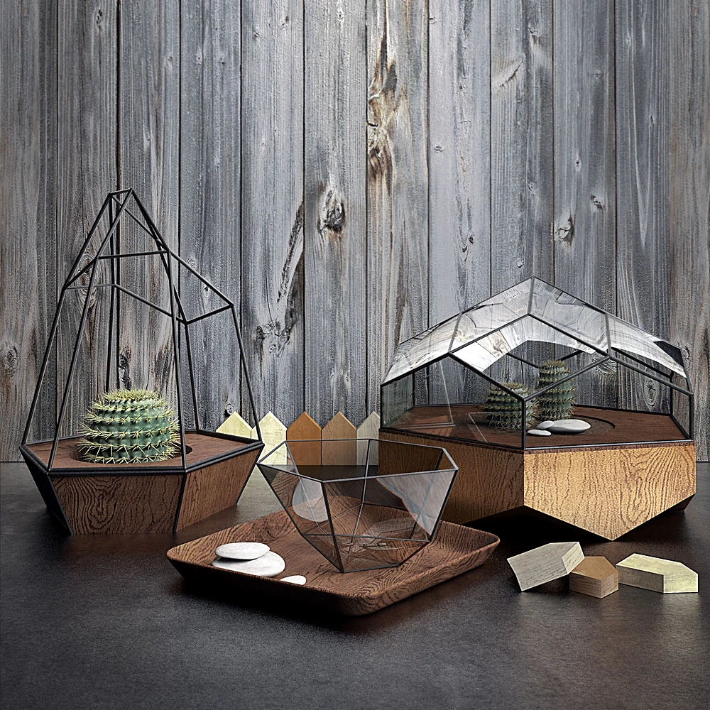 Plants / Decorative set 1