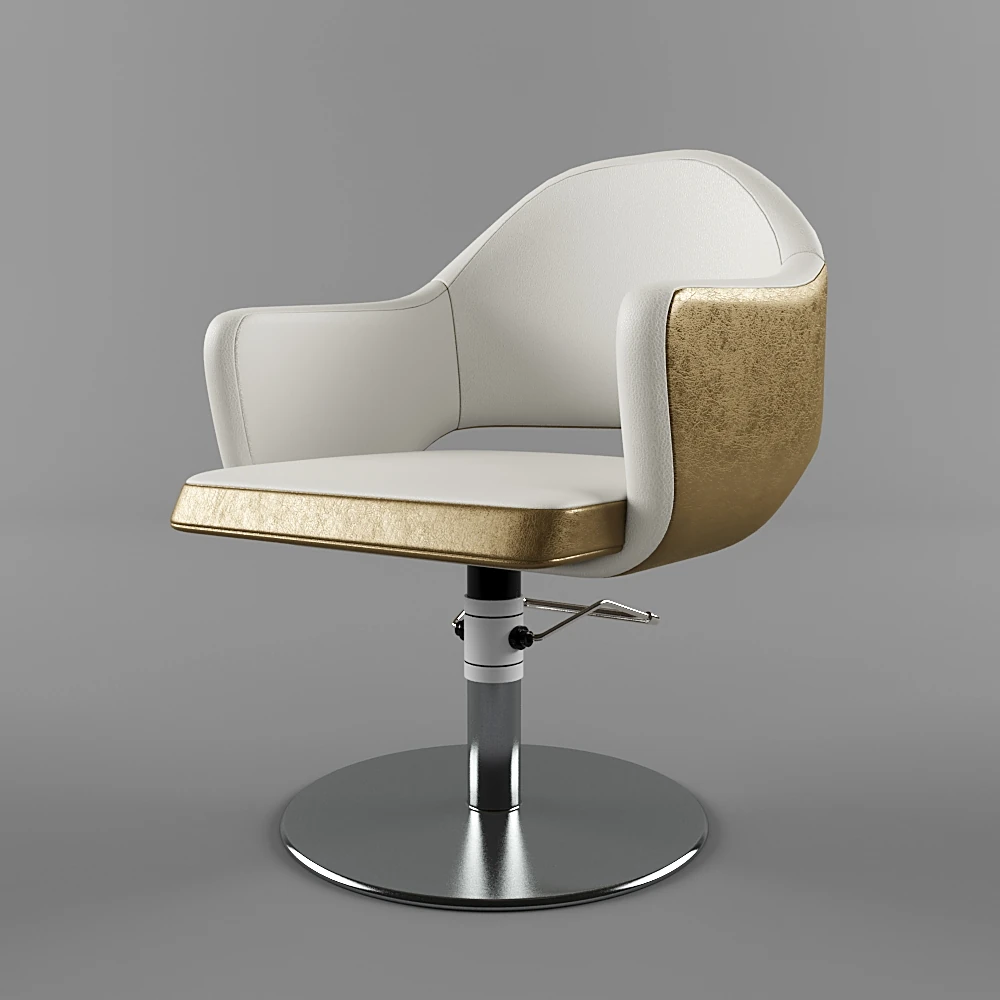 Modern Hairdressing Chair with Gold Accents