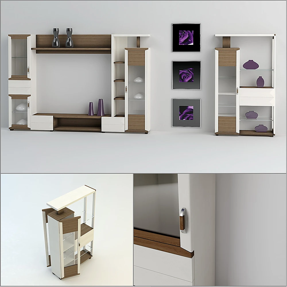 Contemporary Display Cabinets with Wood and Glass
