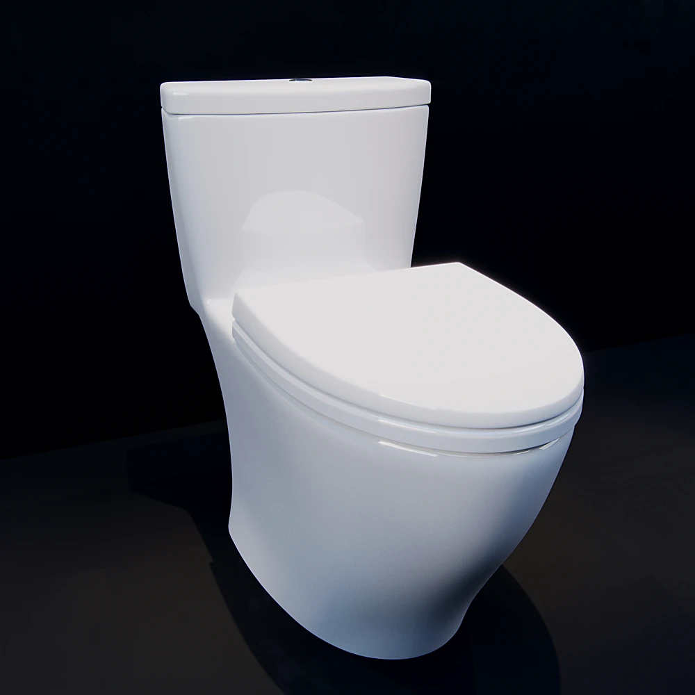 Toilet Aquia by TOTO