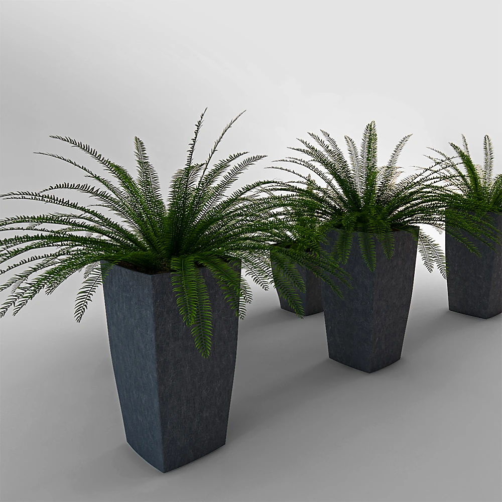 Plantes 3
