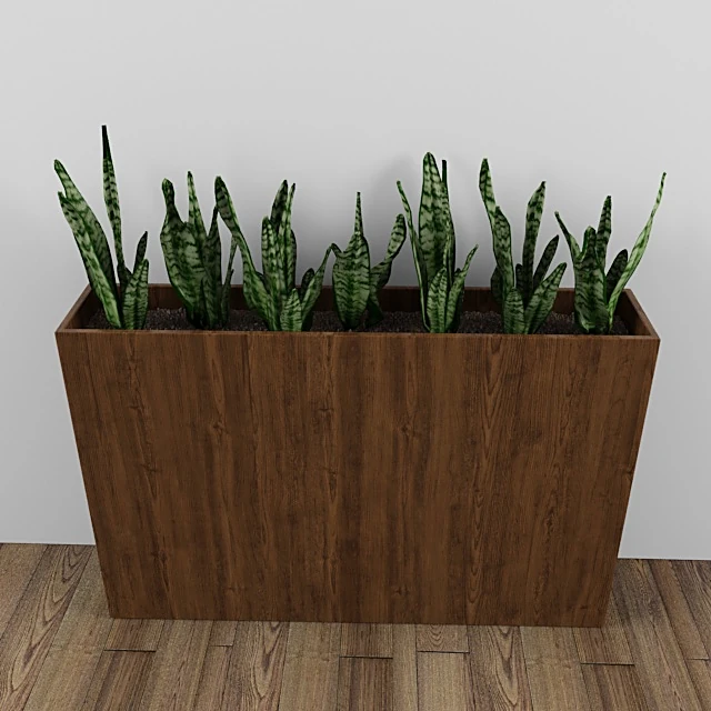 Plants 1