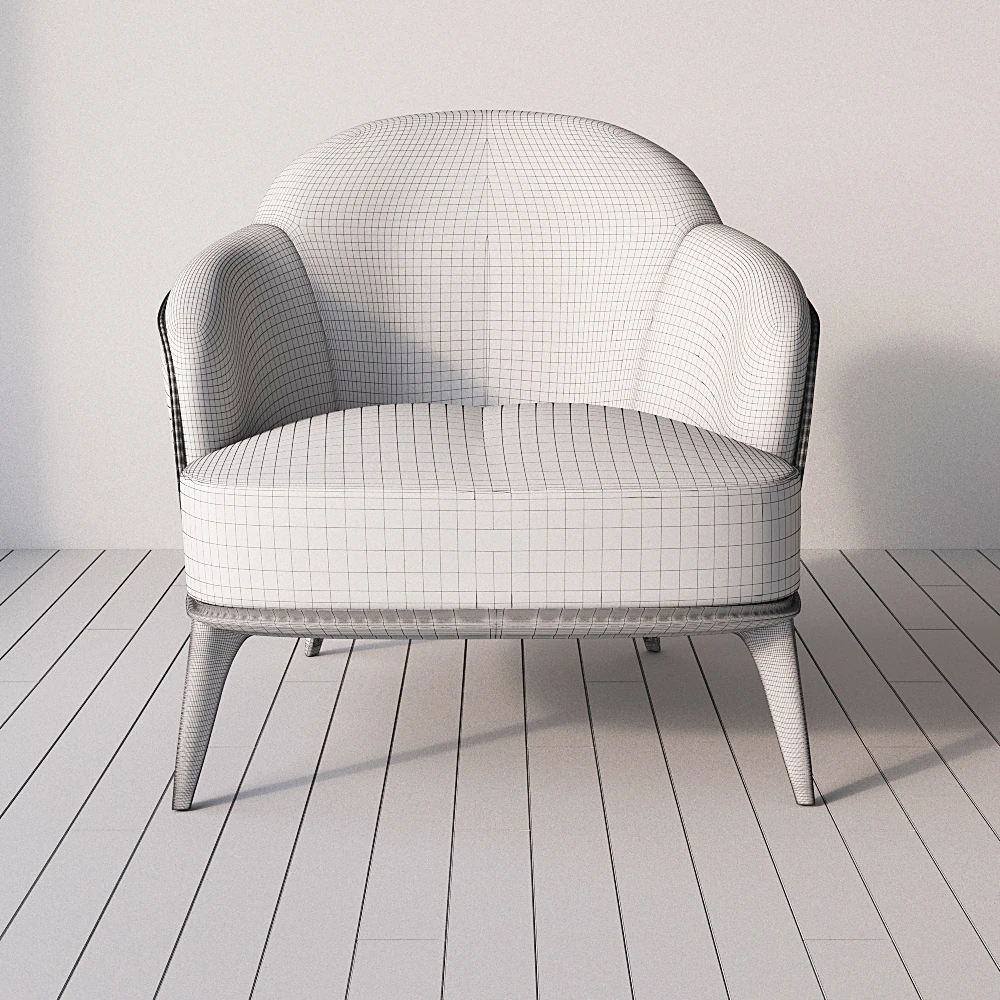 Armchair Poltrona by Minotti (2)