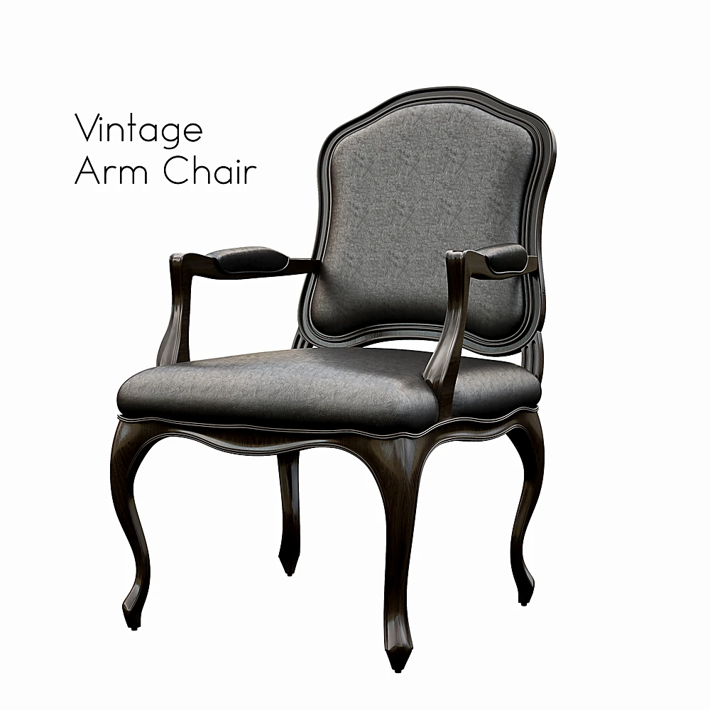 Vintage Armchair with Dark Wood and Leather