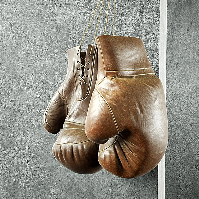 Boxing gloves and punching bag set with worn leather (2)