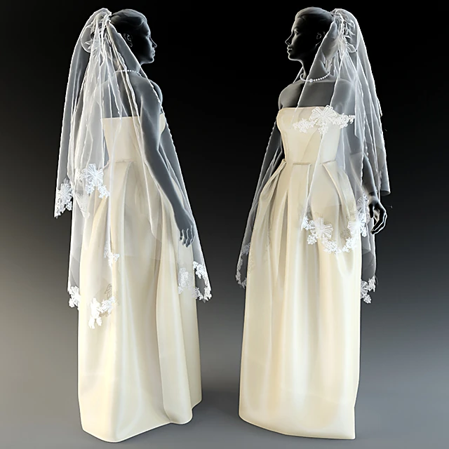 Wedding Dress with Veil and Lace Details