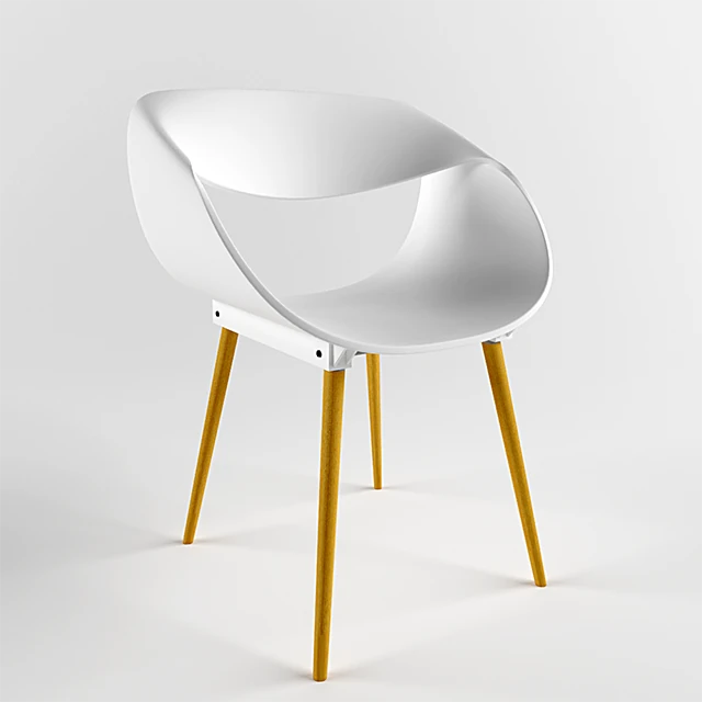Modern Sculptural Chair with Plastic and Wood (2)