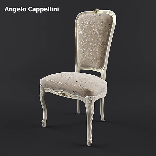 Chair Angelo Cappellini by Angelo Cappellini