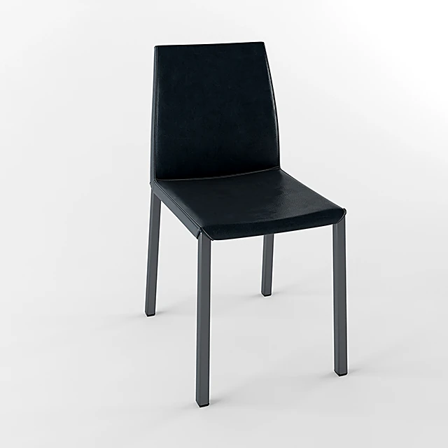 Modern Minimalist Dining Chair