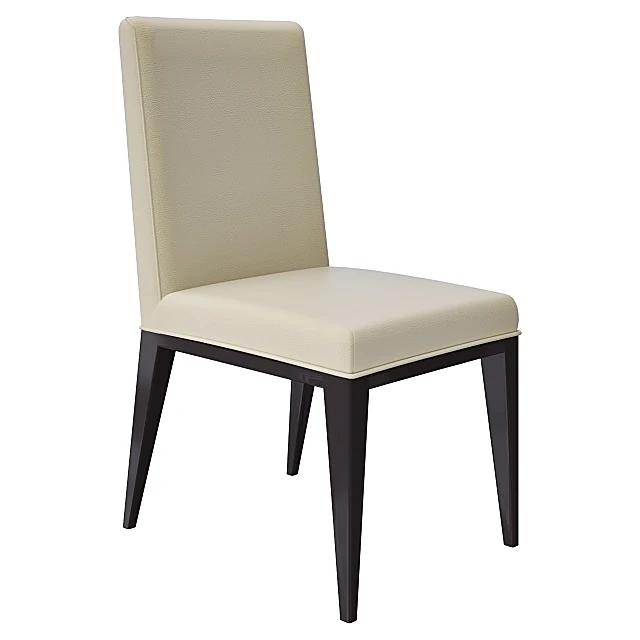 Modern Upholstered Dining Chair