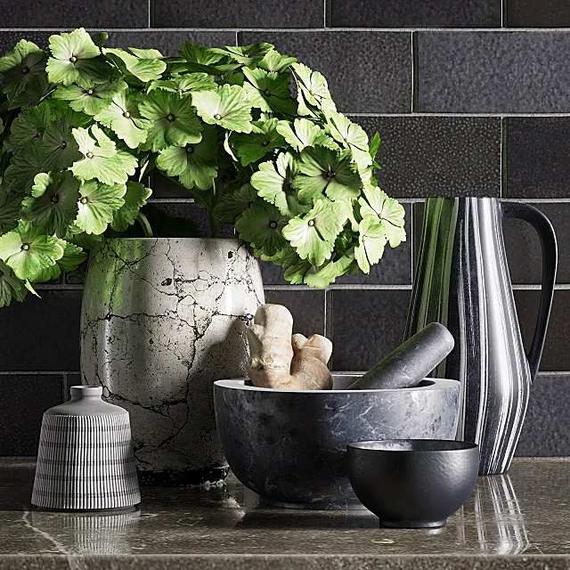 Plants / Other kitchen accessories 1