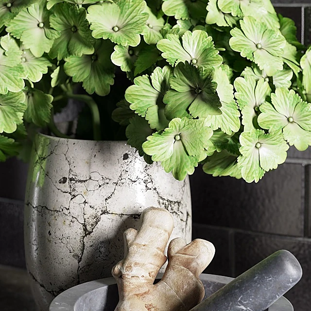 Plants / Other kitchen accessories 3