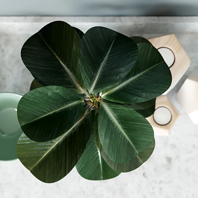 Decorative Set with Modern Scandinavian Elements (3)