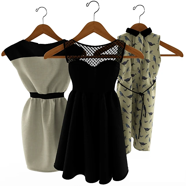 Women's Dresses by Zara (3)