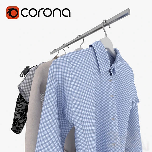 Set of clothes with metal rail and hangers (2)