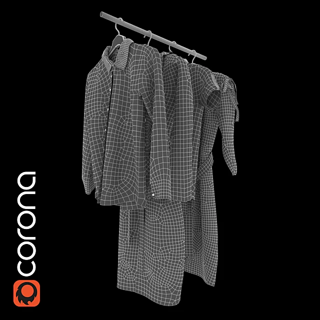Set of clothes with metal rail and hangers (3)