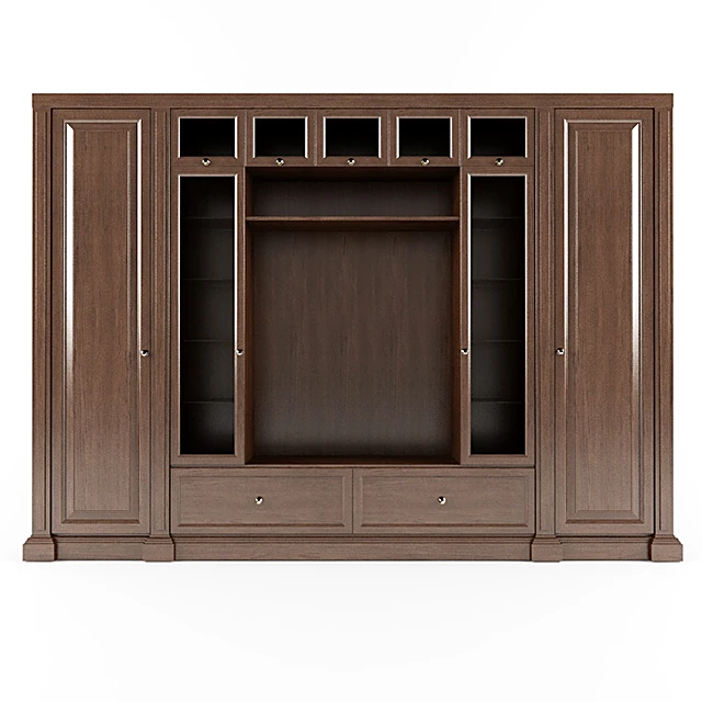 Classic Wall Unit with Bookcases and TV Niche