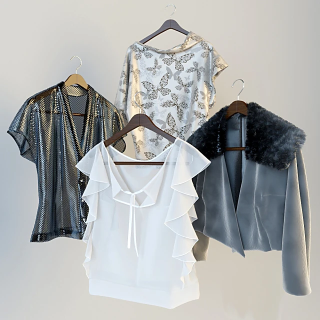 Clothing Set on Hangers with Diverse Garments (2)