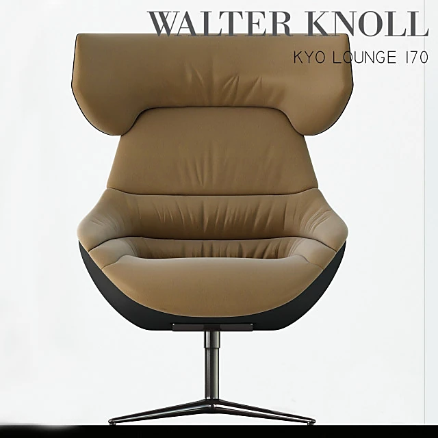 Armchair Kyo Lounge 170 by Walter Knoll (2)