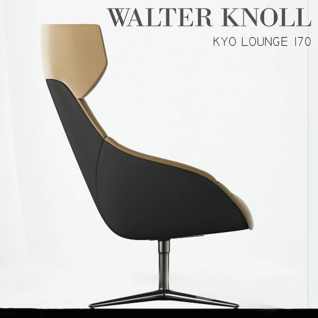 Armchair Kyo Lounge 170 by Walter Knoll (3)