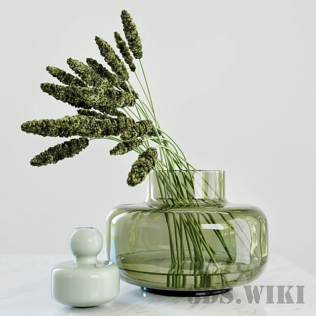 Plants / Vases 1