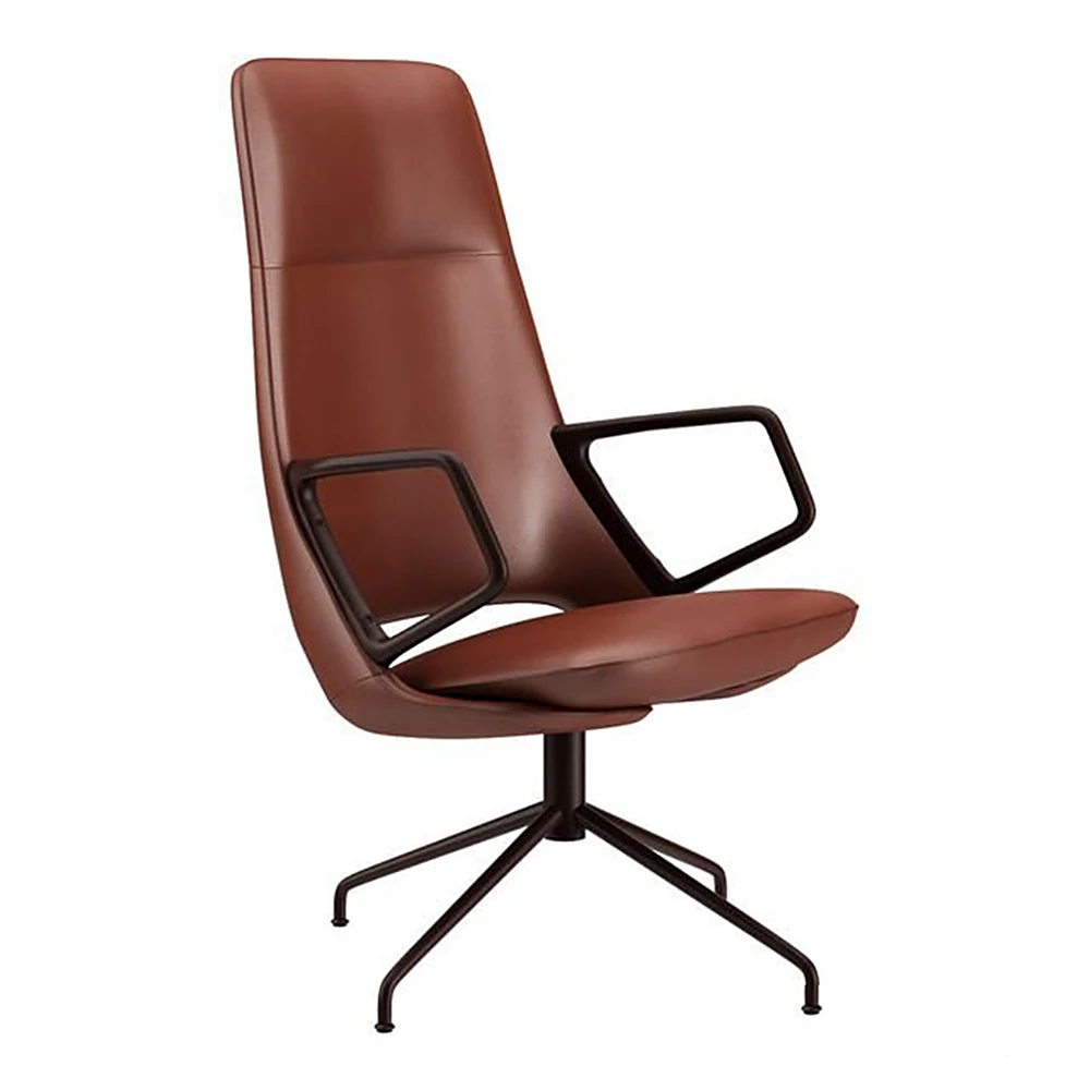 Armchair Zuma by Artifort