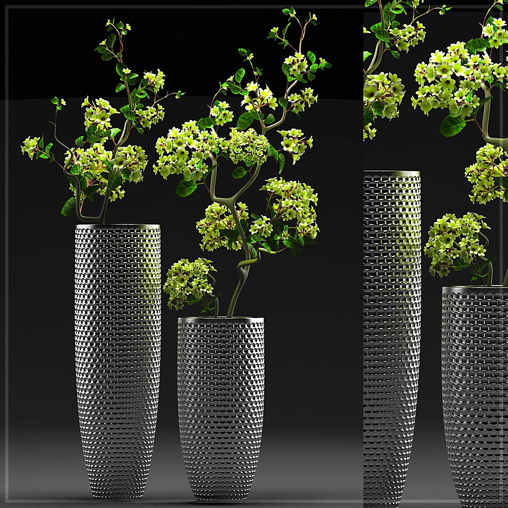 Plants / Vases 1