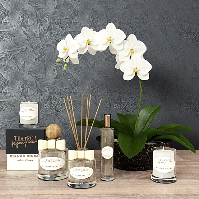 Decorative Set Aromas house by Teatro Fragranze