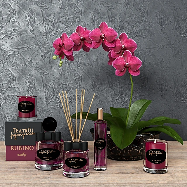 Decorative Set Aromas house by Teatro Fragranze (2)