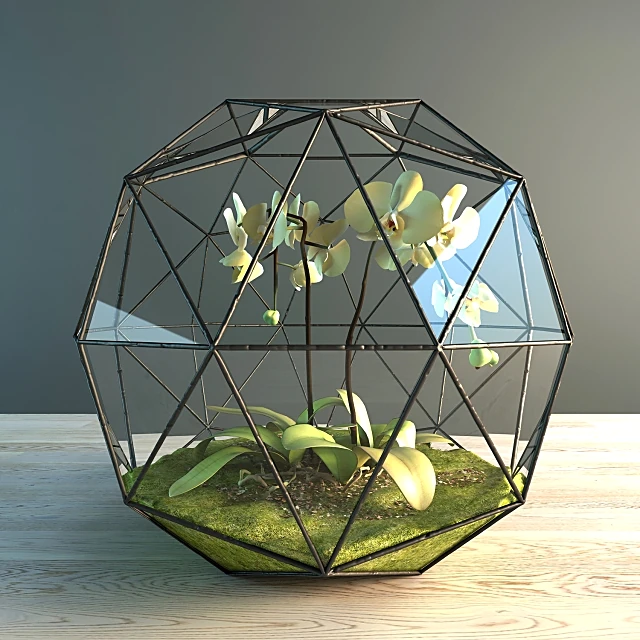 Geometric Terrarium with Orchids, Glass and Metal