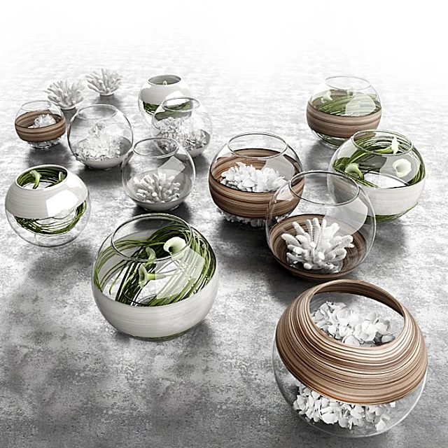 Plants / Vases 1