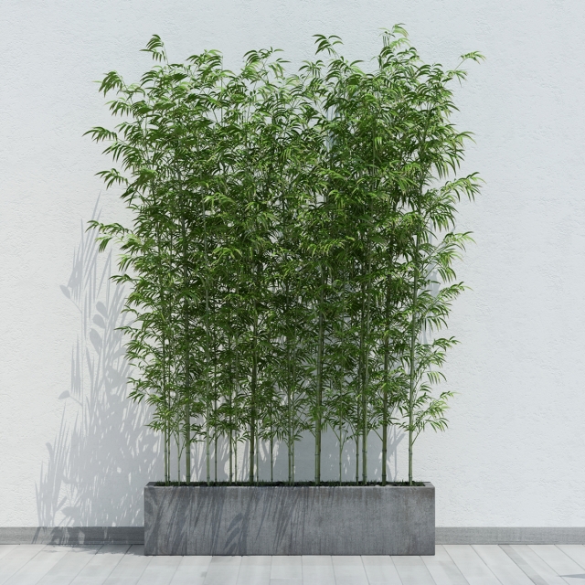 Plant_32 - Download the 3D Model (9343) | zeelproject.com