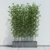 Plants 174 - download 3d model | ZeelProject.com