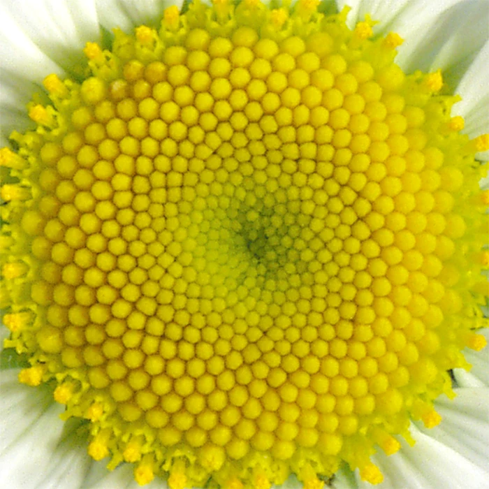 Decorative set / Fireplace 2