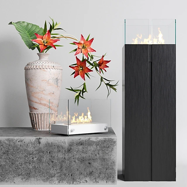 Modern Bioethanol Fireplaces Set