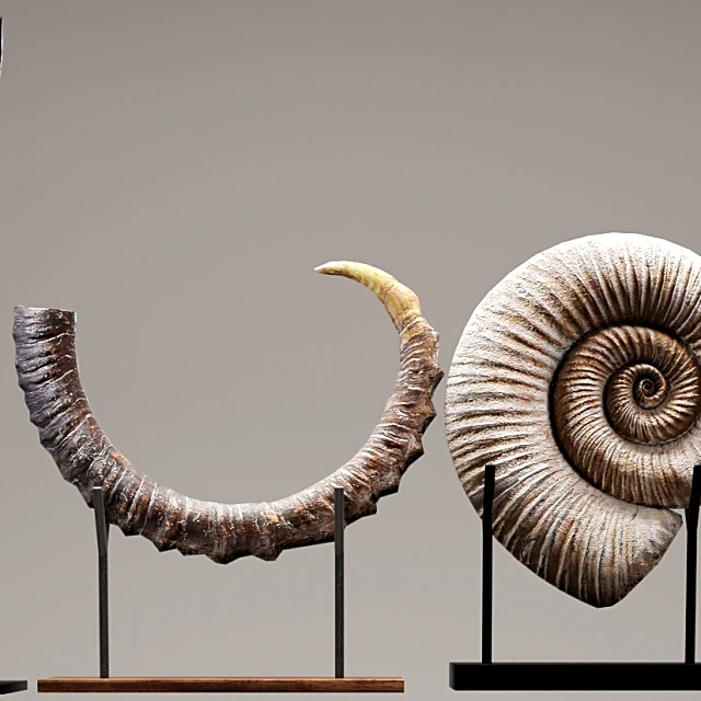 Decorative Sculptures Set with Organic Forms and Natural Materials (2)