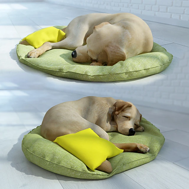 Կենդանիներ 1