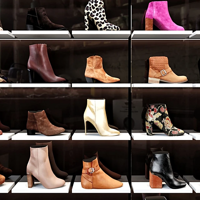 Women's Shoe Display with Modern Collection (2)