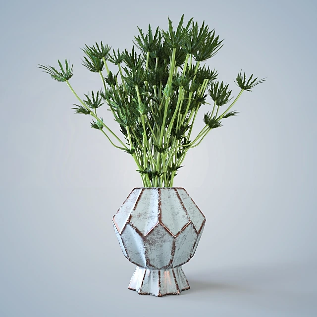 Plants / Vases 1