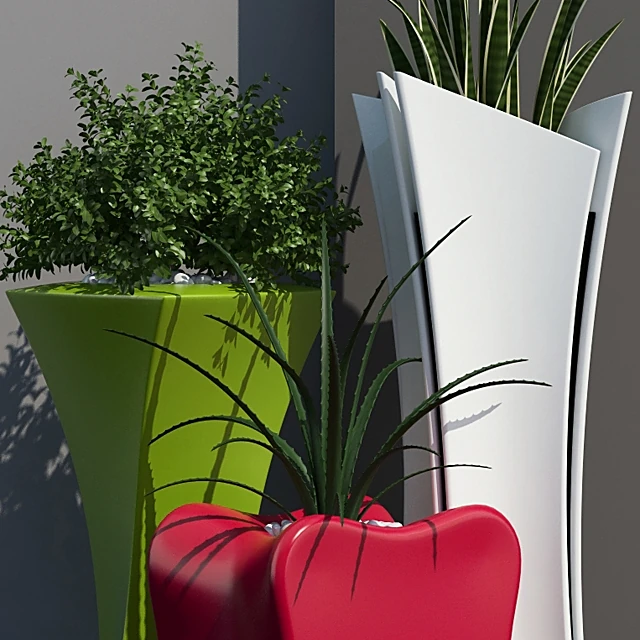 Plants / Vases 1