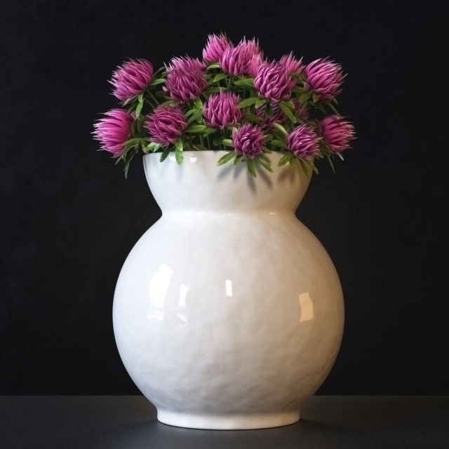 Plants / Vases 1