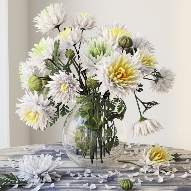 Chrysanthemums - Download the 3D Model (9726) | zeelproject.com
