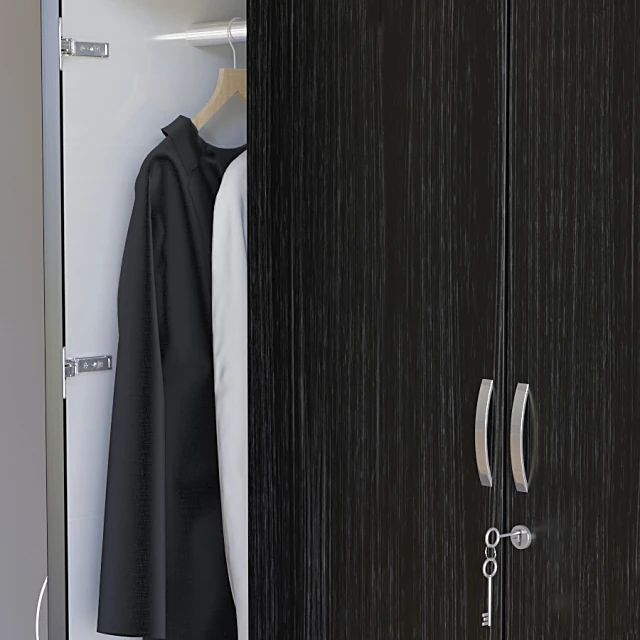 Modern Wardrobe with Dark Wood Finish (2)