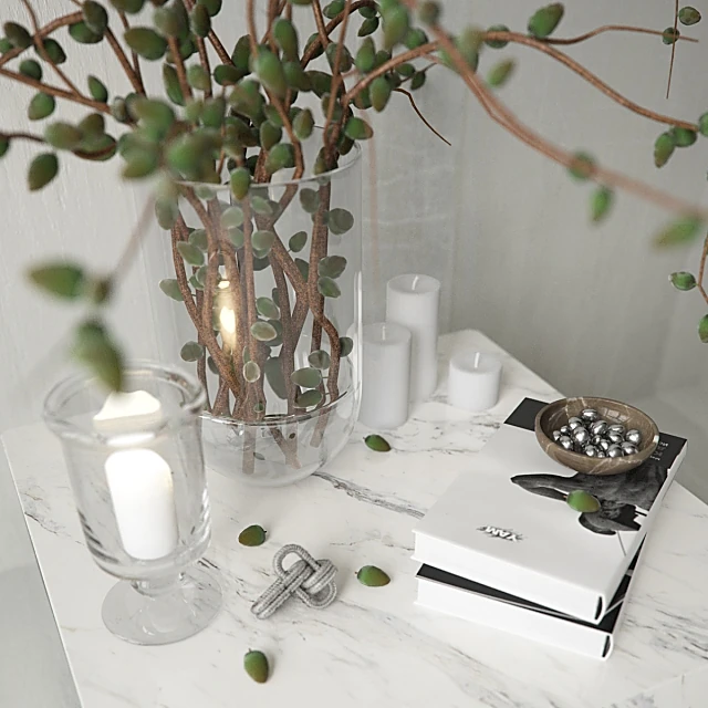 Plants / Decorative set 2