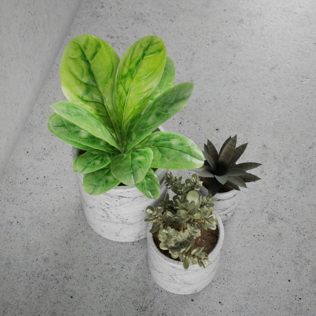 Plants / Decorative set 1